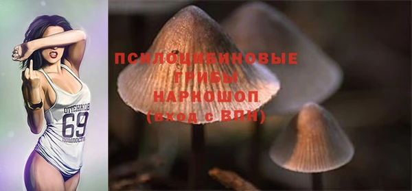 мяу мяу мука Богородицк