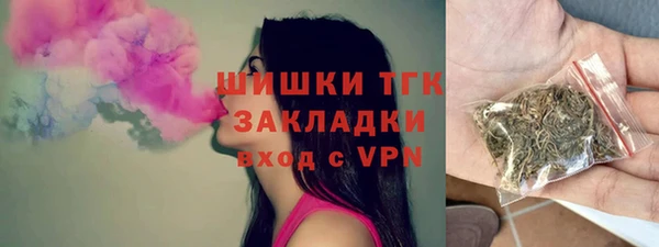 бошки Бронницы