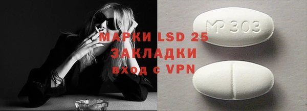 сатива Заводоуковск