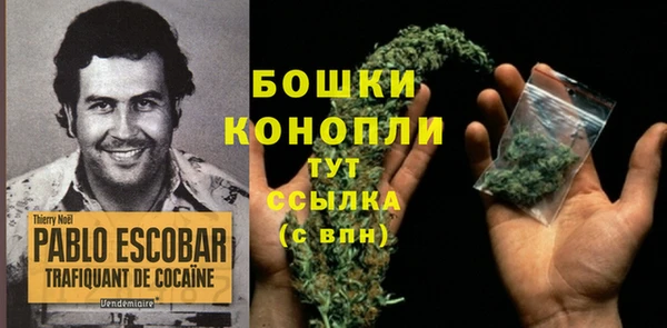бошки Бронницы