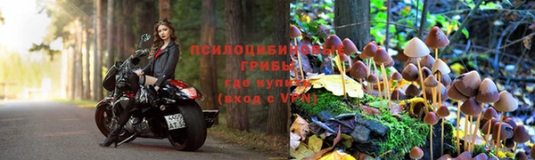 jwh Аша