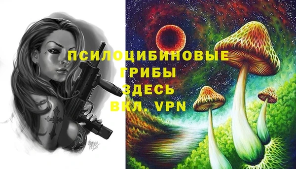 СК Волоколамск