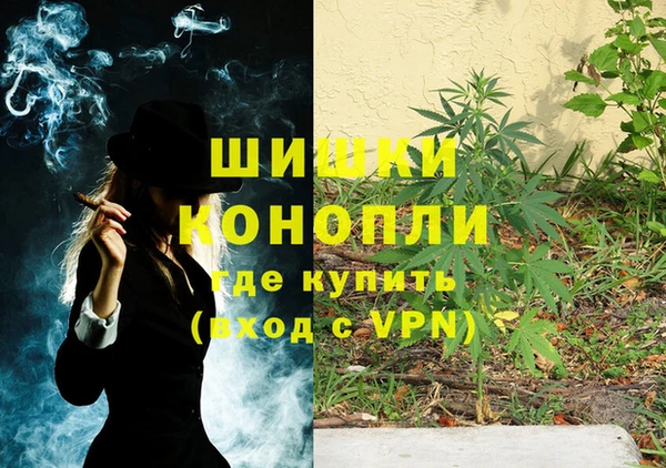 бошки Бронницы