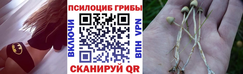 Галлюциногенные грибы Psilocybe  гидра   Сретенск  наркота 